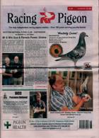 Racing Pigeon Magazine Issue 25/06/2021