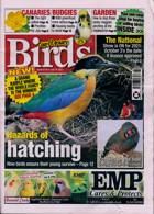 Cage And Aviary Birds Magazine Issue 14/07/2021