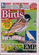 Cage And Aviary Birds Magazine Issue 21/07/2021