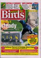 Cage And Aviary Birds Magazine Issue 28/07/2021