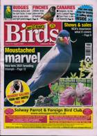 Cage And Aviary Birds Magazine Issue 11/08/2021
