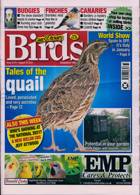 Cage And Aviary Birds Magazine Issue 18/08/2021