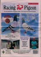 Racing Pigeon Magazine Issue 20/08/2021