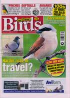 Cage And Aviary Birds Magazine Issue 22/09/2021