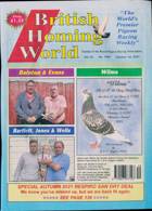 British Homing World Magazine Issue NO 7597