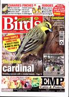 Cage And Aviary Birds Magazine Issue 20/10/2021