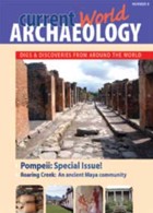 Current World Archaeology Magazine Issue  