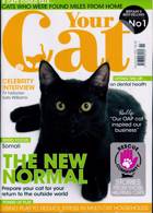 Your Cat Magazine Issue NOV 21