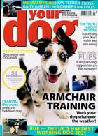 Your Dog Magazine Issue NOV 21