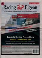 Racing Pigeon Magazine Issue 12/11/2021