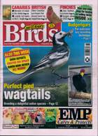 Cage And Aviary Birds Magazine Issue 17/11/2021