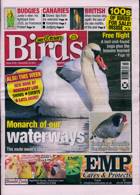 Cage And Aviary Birds Magazine Issue 24/11/2021