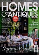 Homes & Antiques Magazine Issue NOV 21