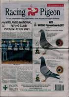 Racing Pigeon Magazine Issue 26/11/2021