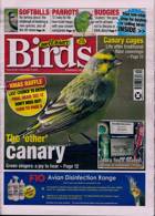 Cage And Aviary Birds Magazine Issue 08/12/2021