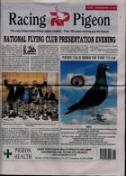 Racing Pigeon Magazine Issue 17/12/2021
