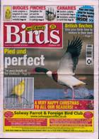 Cage And Aviary Birds Magazine Issue 22/12/2021