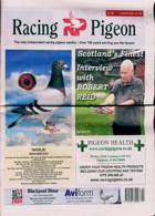 Racing Pigeon Magazine Issue 07/01/2022