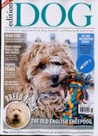 Edition Dog Magazine Issue NO 42