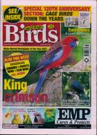 Cage And Aviary Birds Magazine Issue 19/01/2022