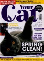 Your Cat Magazine Issue APR 22