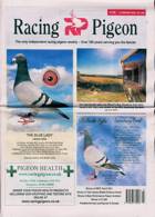 Racing Pigeon Magazine Issue 11/02/2022