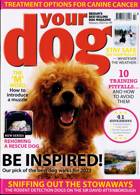 Your Dog Magazine Issue FEB 22 