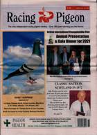 Racing Pigeon Magazine Issue 08/04/2022