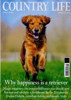Country Life Magazine Issue 20/04/2022