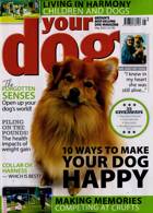 Your Dog Magazine Issue MAY 22