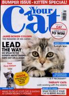 Your Cat Magazine Issue MAY 22