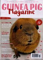 Guinea Pig Magazine Issue NO 72