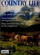 Country Life Magazine Issue 11/01/2023