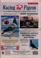 Racing Pigeon Magazine Issue 03/03/2023
