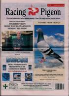Racing Pigeon Magazine Issue 24/03/2023