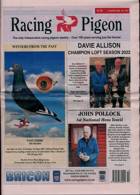 Racing Pigeon Magazine Issue 31/03/2023