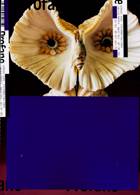 Profane Magazine Issue 15