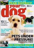 Your Dog Magazine Issue JUL 23