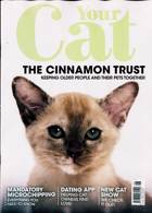 Your Cat Magazine Issue JUN 23