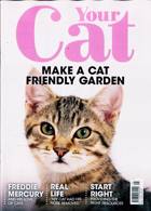 Your Cat Magazine Issue MAY 23