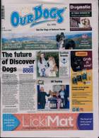 Our Dogs Magazine Issue 31/03/2023