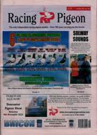 Racing Pigeon Magazine Issue 14/04/2023