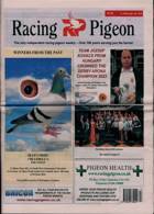 Racing Pigeon Magazine Issue 21/04/2023