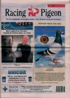 Racing Pigeon Magazine Issue 28/04/2023