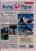 Racing Pigeon Magazine Issue 12/05/2023