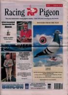 Racing Pigeon Magazine Issue 26/05/2023