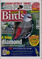 Cage And Aviary Birds Magazine Issue 17/05/2023