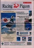 Racing Pigeon Magazine Issue 02/06/2023