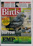 Cage And Aviary Birds Magazine Issue 24/05/2023