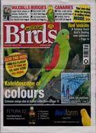 Cage And Aviary Birds Magazine Issue 31/05/2023